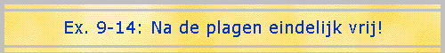 Ex. 9-14: Na de plagen eindelijk vrij!